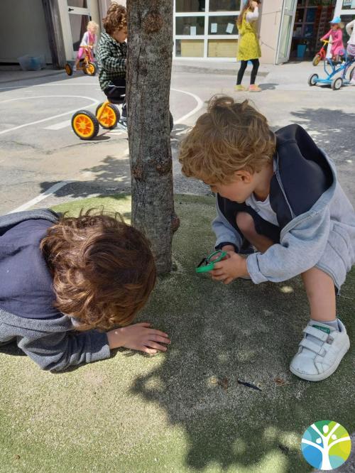 Observons les petites bêtes !